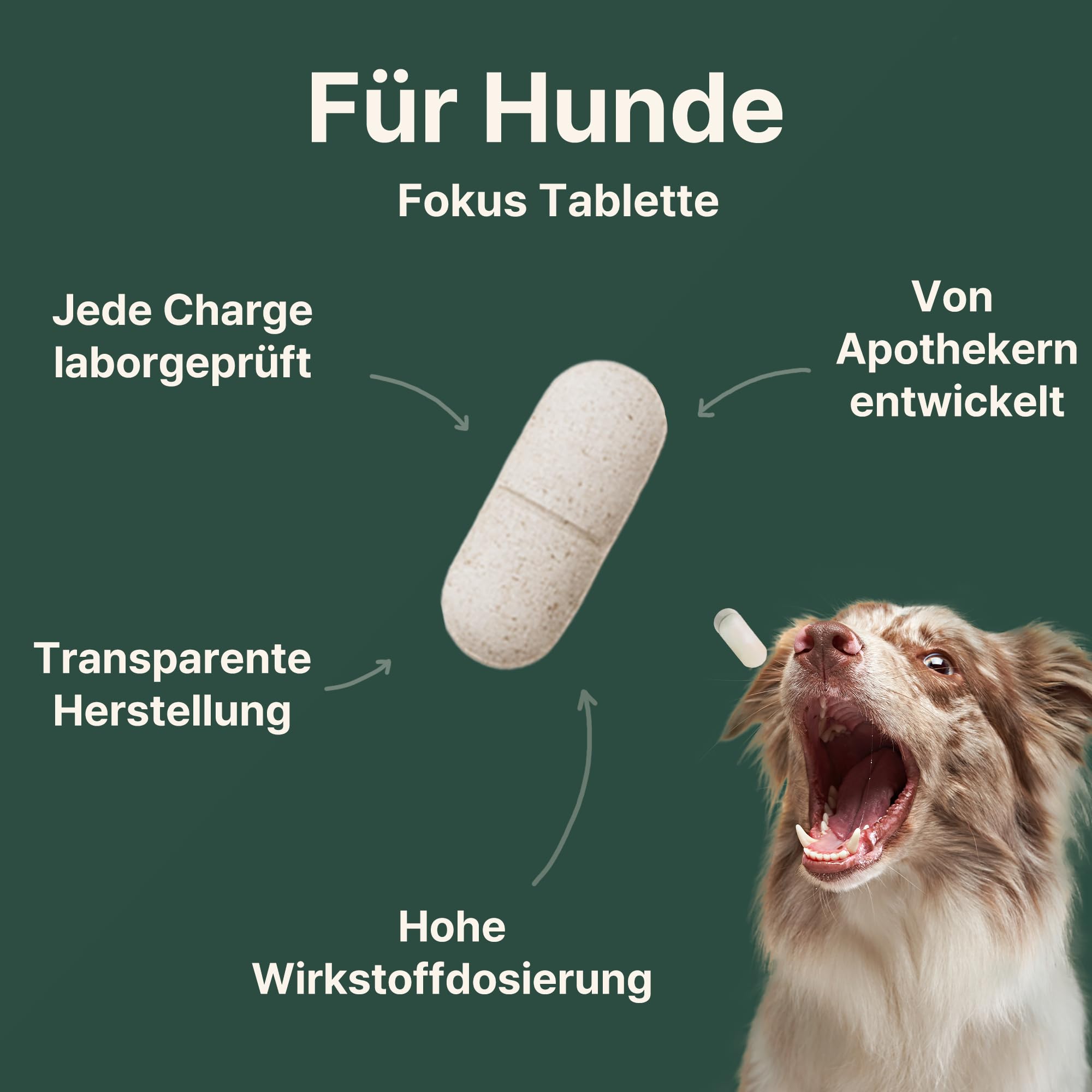Gelenktabletten Hund, Apotheker Rezeptur, 90 Stück reicht bis zu 6 Monate, von Apothekern entwickelt & Tierärzten geprüft, mit Grünlippmuschel hochdosiert, Glucosamin, MSM, Chondroitin, Teufelskralle