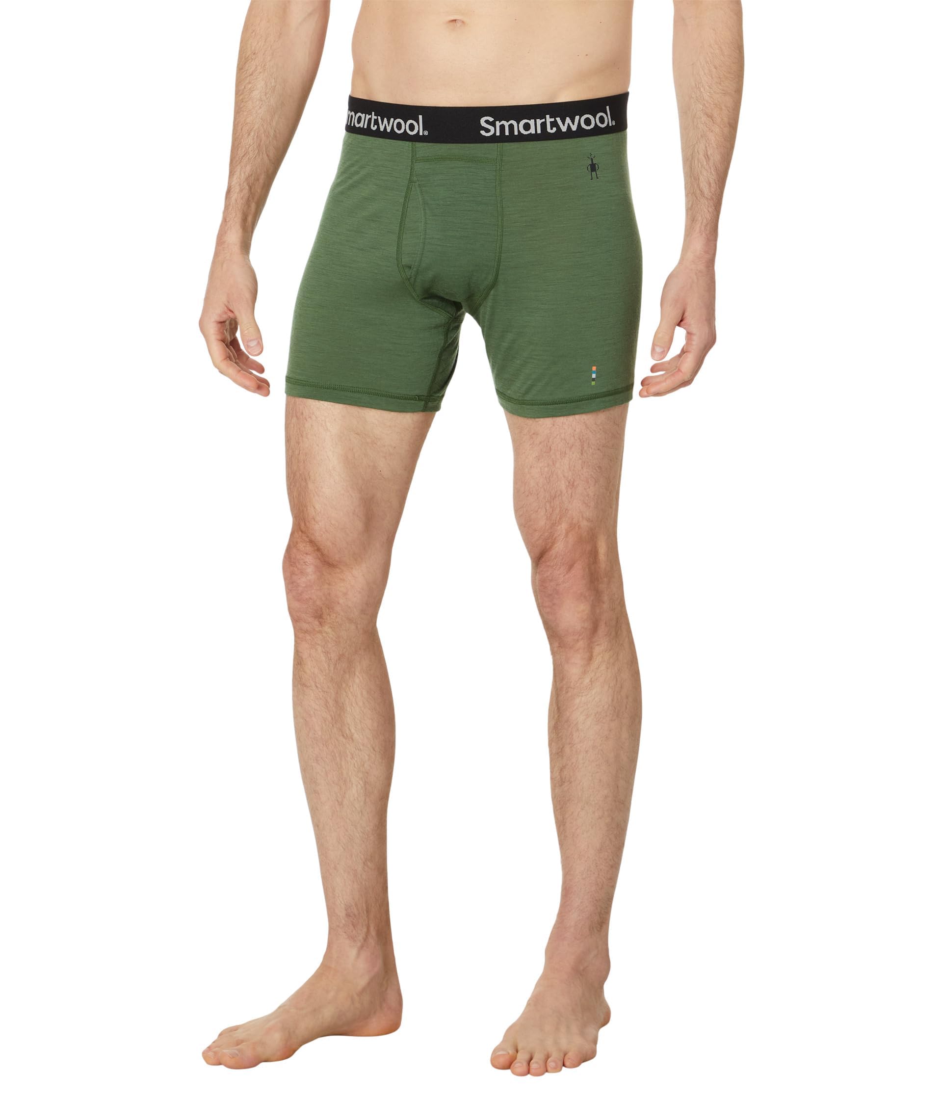 Smartwool Men's Merino Brief Boxed Boxer Shorts, Fern Green, M