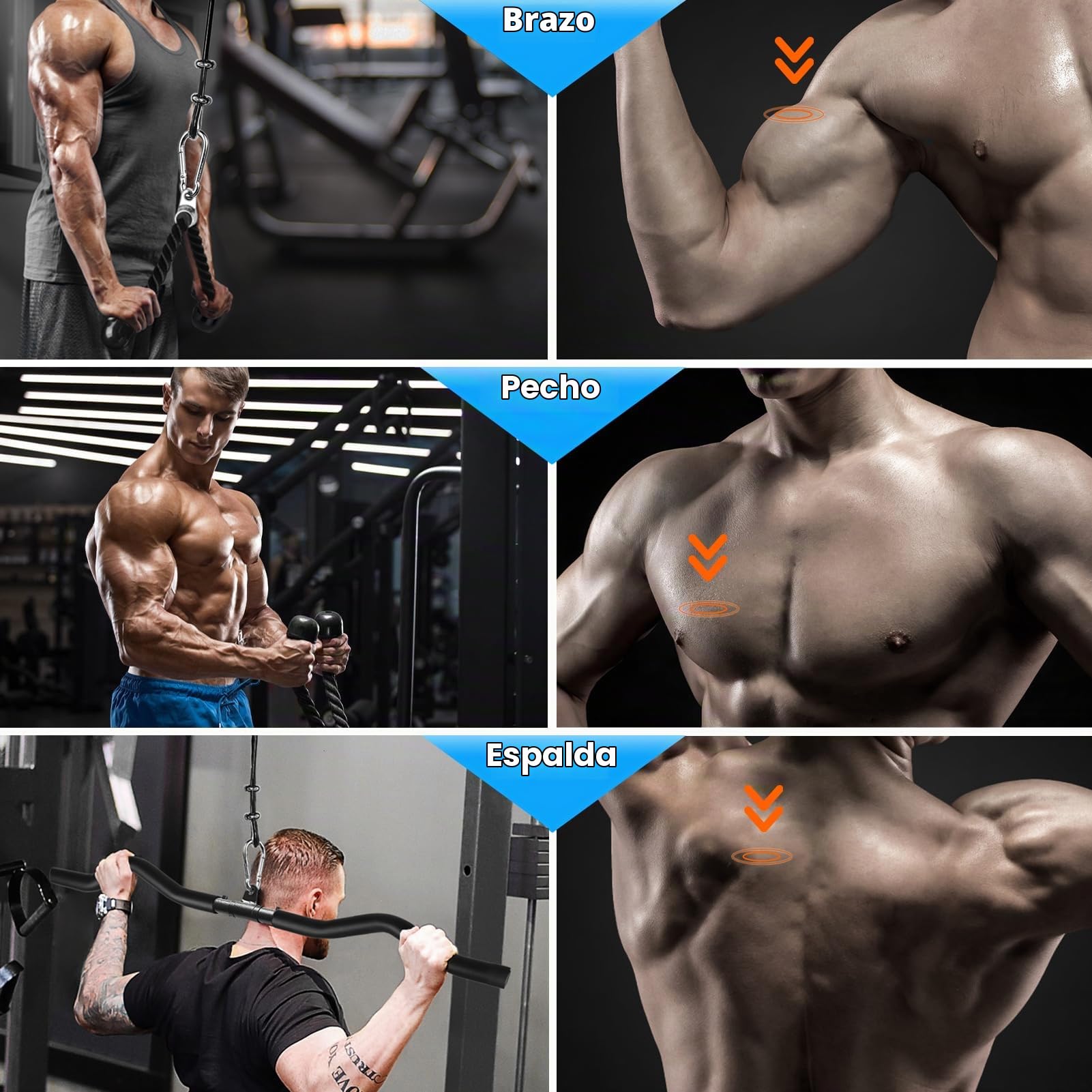 Polea Gym Casa, DIY Poleas Gimnasio Tríceps Polea Maquina Musculacion Entrenamiento Pecho Espalda Sistema de Poleas Gimnasio Casa