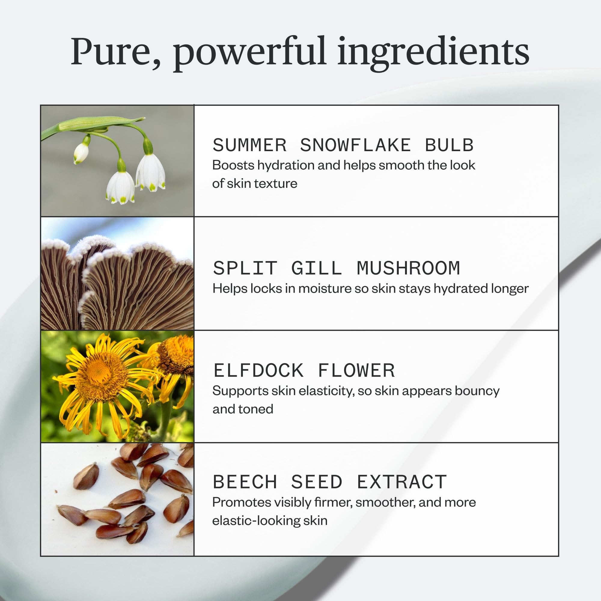 Ursa Major Vital Spring Hydration Mask | Deeply Hydrating Natural Mask| Plumps Skin’s Appearance, Boosts Firmness & Smooths Appearance of Fine Lines | Vegan, Cruelty-Free, Non-Toxic | 1.69 ounce