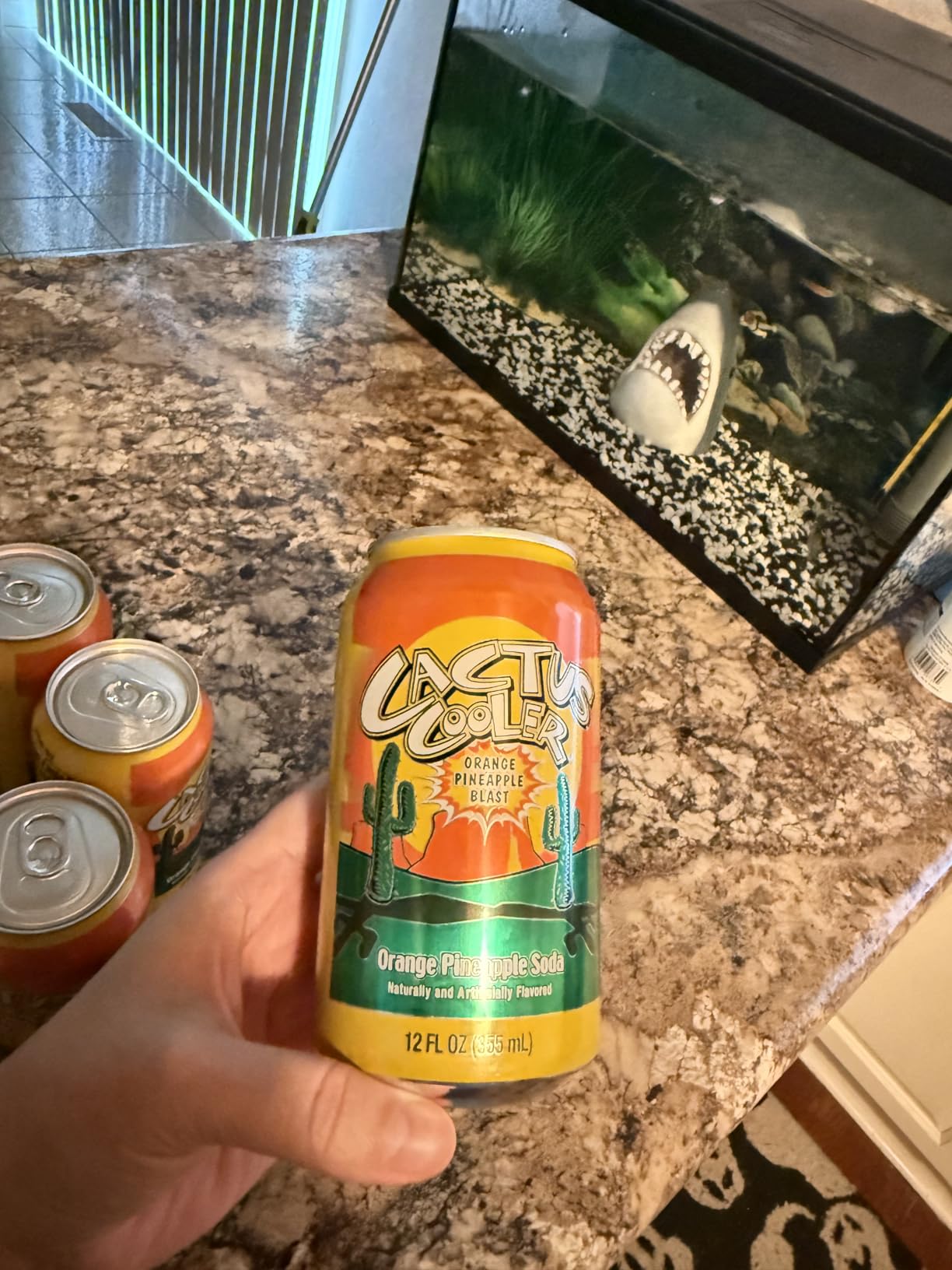 Cactus Cooler Orange Pineapple Soda - 12 Oz (6 - Italy | Ubuy