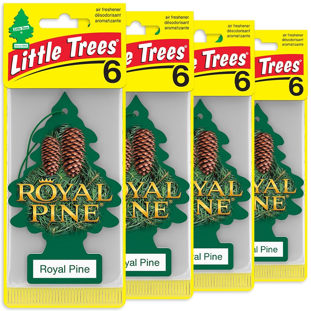 LITTLE TREES Car Air Freshener I Hanging Tree Provides Long Lasting Scent for Auto or Home I Royal Pine, 24 count, (4) 6-packs