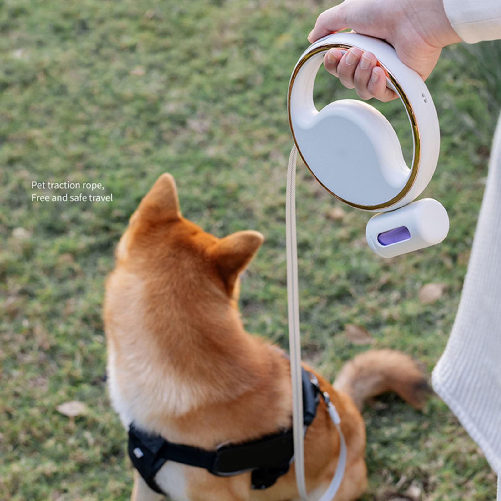 Laisse rétractable pour Animaux de Compagnie avec lumière LED sûre, Corde de Marche Automatique pour Animaux de Compagnie avec Distributeur de Sacs poubelles pour Chiens
