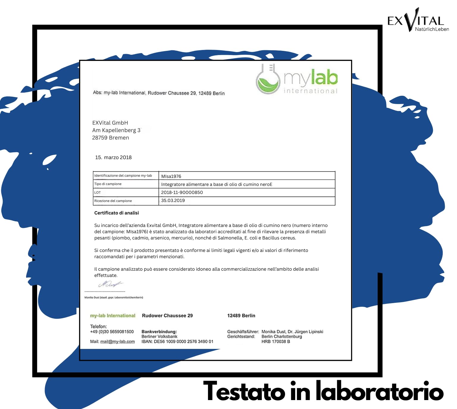 Capsule di olio di cumino nero, 1000 mg, EXVital, spremuto a freddo, egiziano, naturale, con vitamina E, 400 capsule softgel per più di 6 mesi, qualità premium, senza magnesio stearato