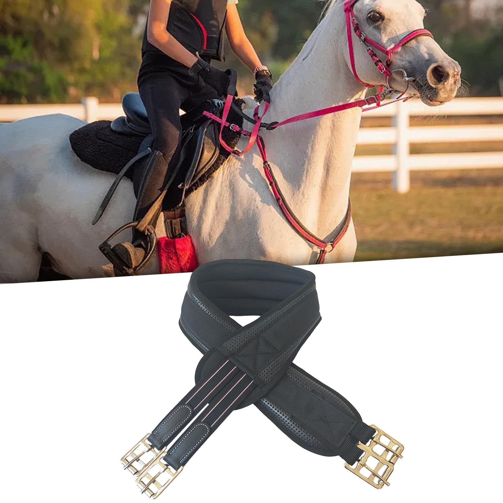 predolo Sottopancia per Cavallo Inglese di Alta qualità con Chiusure Sicure, 140 cm