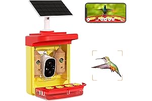 Bilantan HummerHi- Smart Hummingbird Feeder with Camera, Solar Powered, Lifetime Free AI Hummingbird Feeder Camera