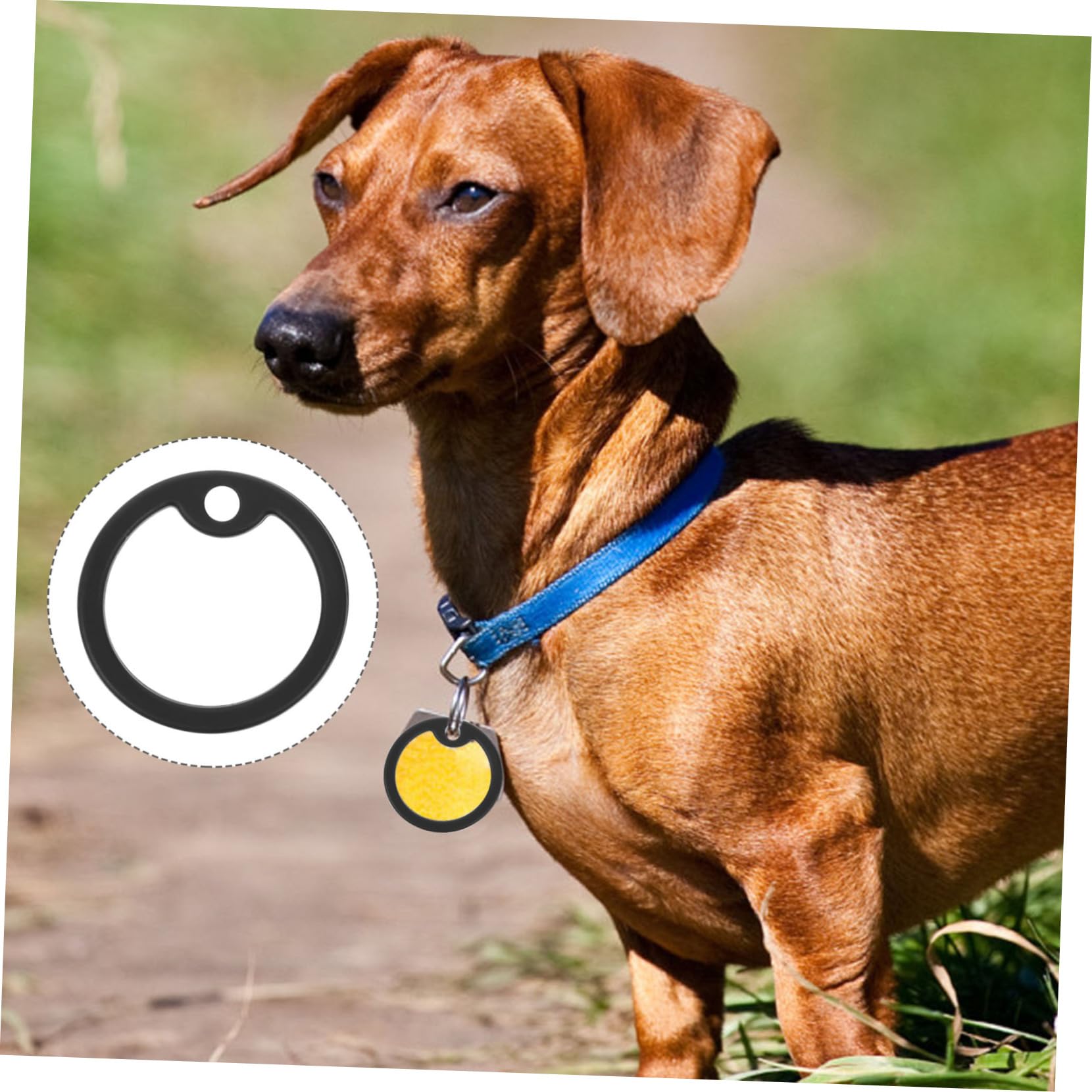 POPETPOP 60pezzi Silenziosi Per Medagliette Per Per e Collare Accessori Pet Per Dei Tag