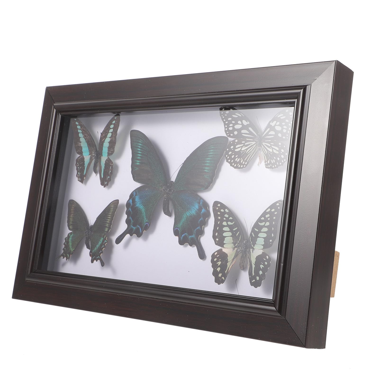Marco de Muestra de Mariposas en Madera con Acabado Exquisito para Decoración de Pared, Adorno Adecuado para Sala de Estar y Obsequio de Cumpleaños