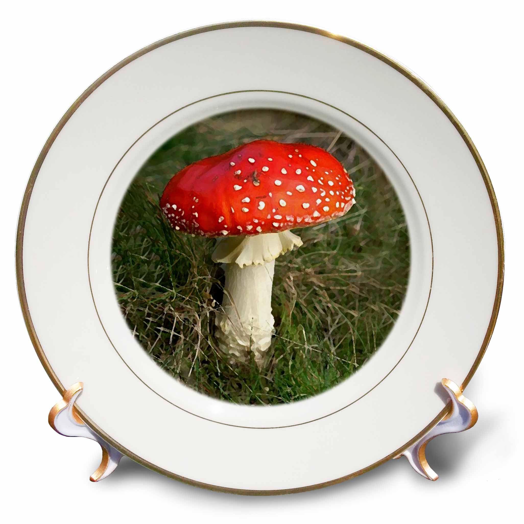 Plato de porcelana redondo 3dRose blanco 20,3 cm con acabado liso
