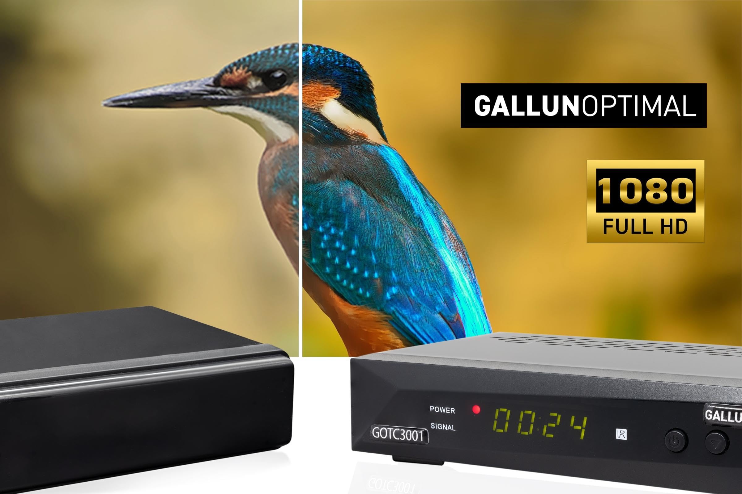 Combo-Receiver DVB-C & DVB-T2 H265 mit Auto Installation & Aufnahmefunktion geeignet für jeden Kabel-Anbieter UND dem Empfang von allen freien DVB-T2 Sender via Antenne, Standard Size