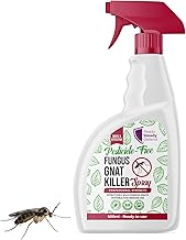 Fungus Gnat Spray 500ml – Plant-Based Gnat Killer for Indoor Plants & Gardens – Controls Fungus Gnats, Fruit Flies & Tiny Plant Flies – Non-Chemical Formula – Houseplant Bug Killer Spray, Ready to Use