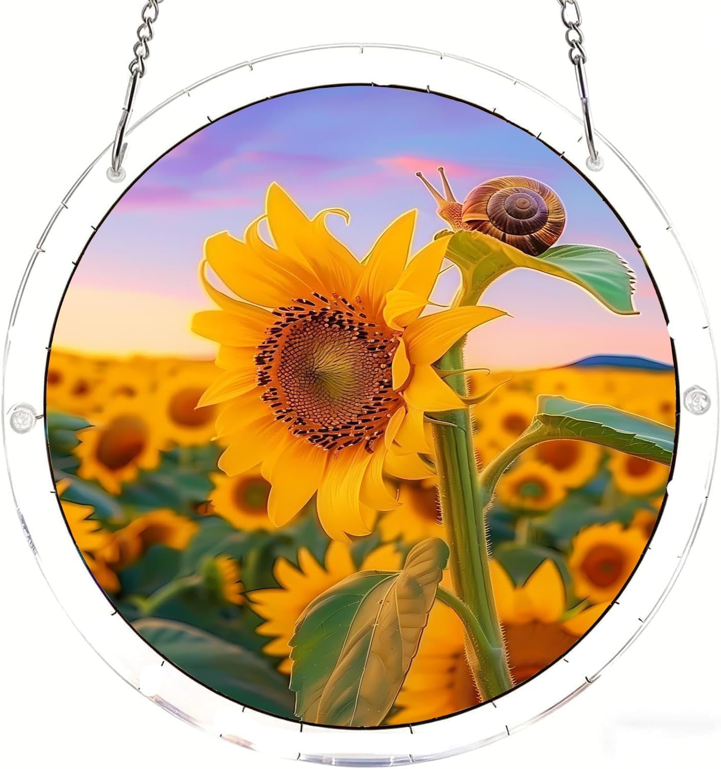The Snail on the Sunflower Snail Acrylic Jigsaw Puzzles Suncatcher, 7.4 Inch Window Hanging Suncatcher Acrylic Puzzle, DIY Home Decor Art Gift