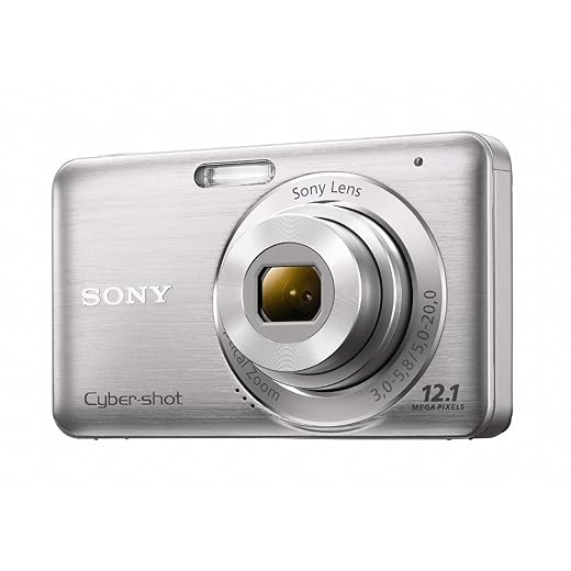 Sony DSC-W310 12.1MP Digital Camera with 4x Wide Angle Zoom with Digital Steady Shot Image Stabilization and 2.7 inch LCD (Silver)