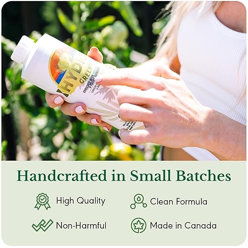 Miniatura 7 de HydraGreens - Alimento para plantas, enriquecido con nutrientes y minerales de algas marinas para jardines interiores y exteriores, 8 onzas, para