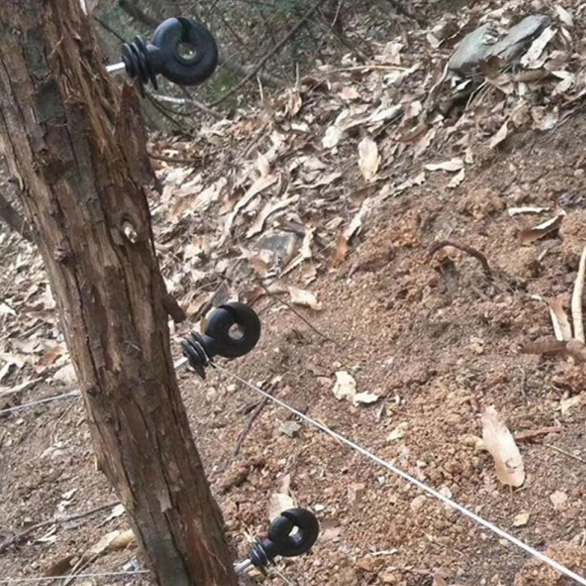 50 aisladores eléctricos para postes de madera, accesorios de poste para ganado y valla agrícola, compatibles con sistemas de valla eléctrica agrícola