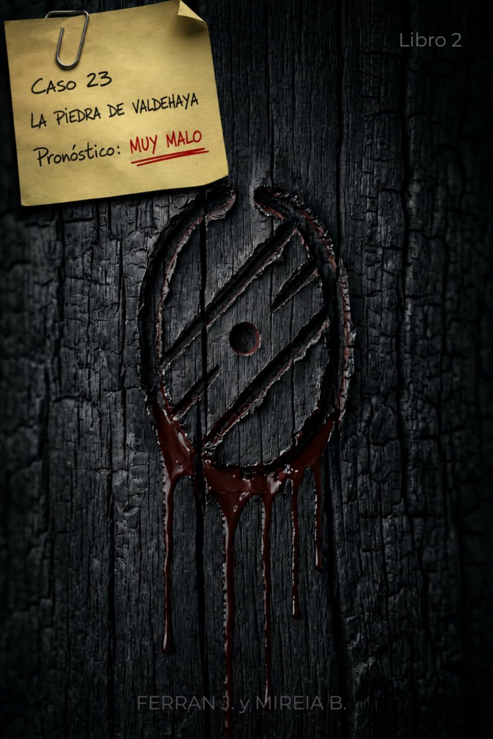 LA PIEDRA DE VALDEHAYA - (Libro 2 del Haya Negra): La sangre paga lo que la sangre debe — Terror sobrenatural basado en vivencias reales (El Haya Negra · Libro 2) (LA SAGA DEL HAYA NEGRA)