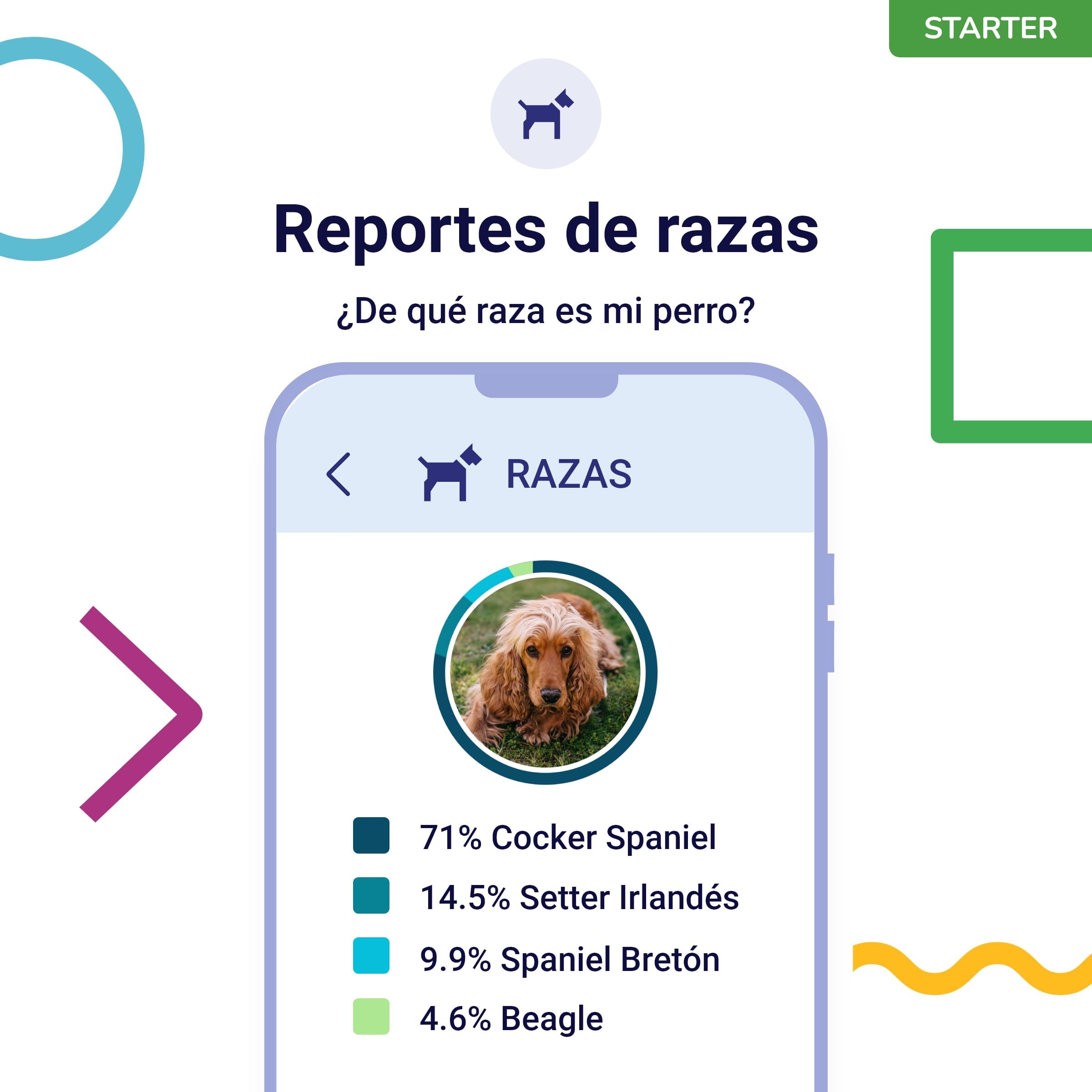 Koko Genetics - Test ADN para Perros Starter (Reportes de Razas y Rasgos) - Actualizaciones sin Coste.