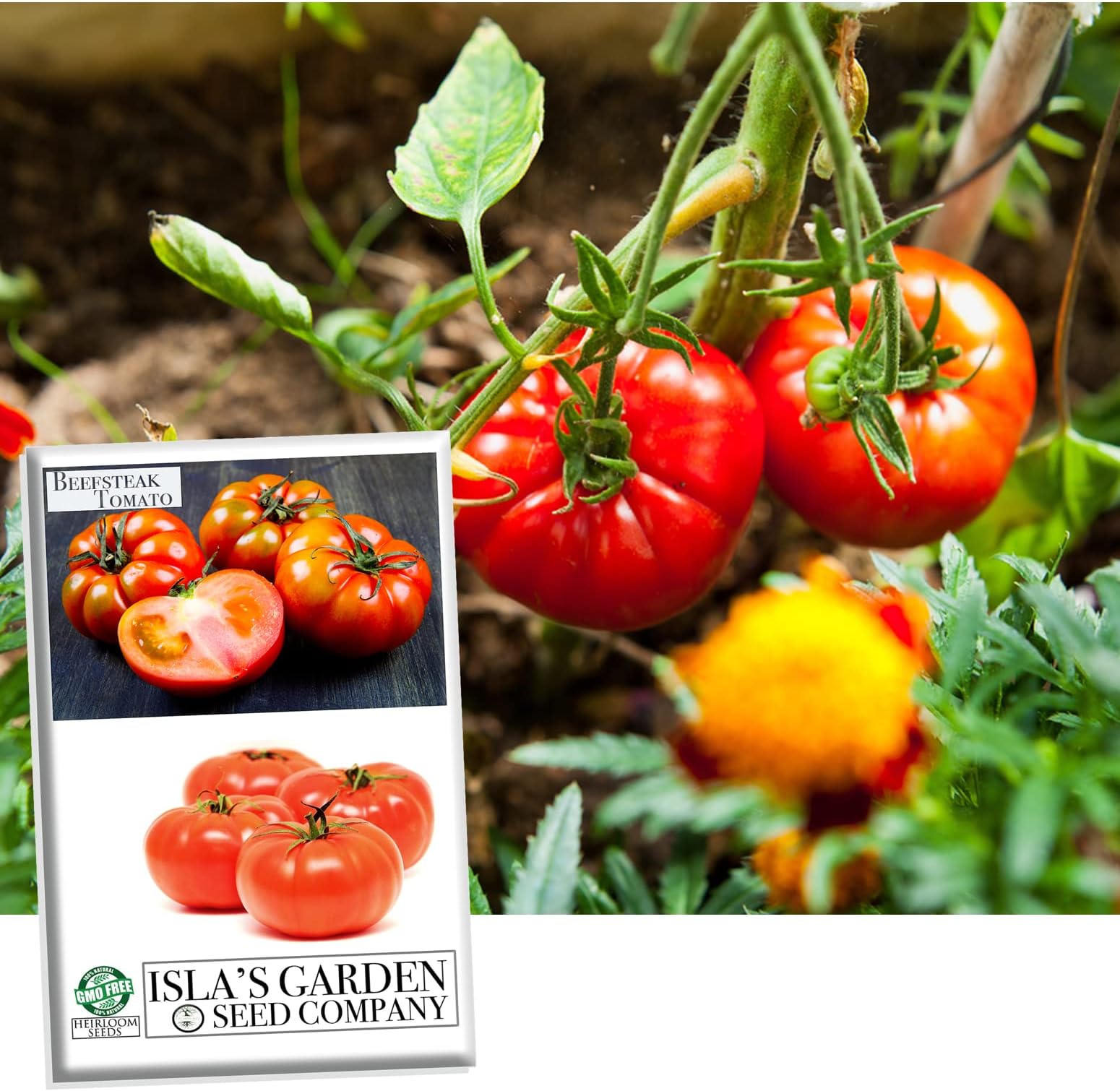 "Early Girl" Tomato Seeds for Planting, 25+ Seeds Per