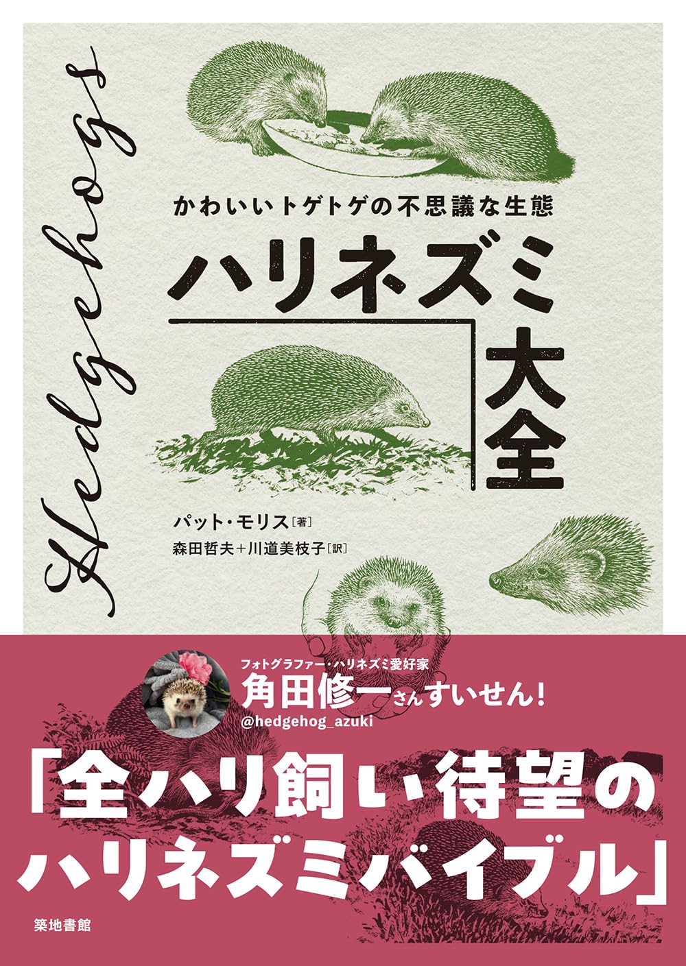 ハリネズミ大全: かわいいトゲトゲの不思議な生態 | パット・モリス