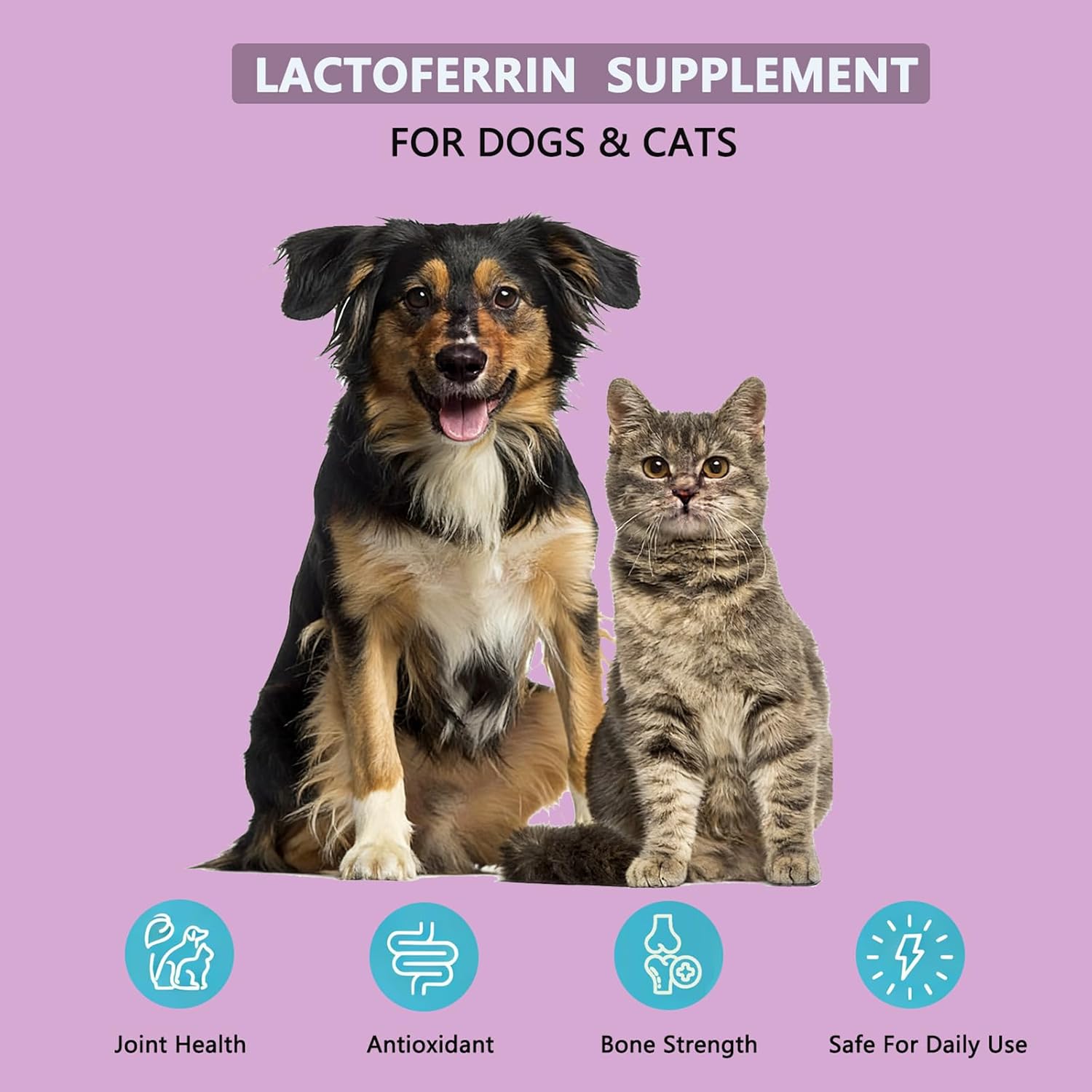 Lactoferrin for Dogs & Cats, Chicken Flavor Powder, 4oz, Immune System Support, Bone & Joint Health, Digestive and Skin Support