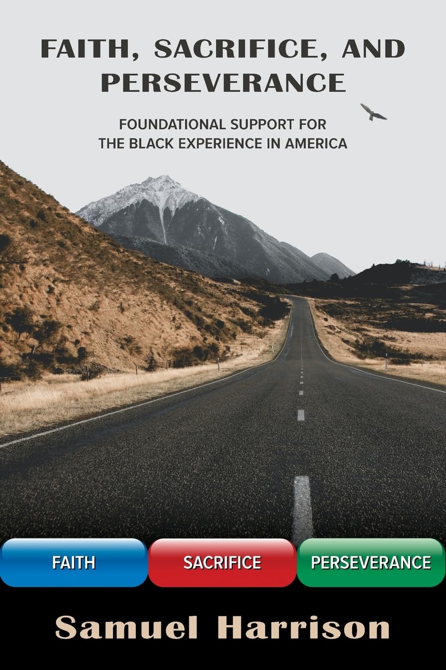 Faith, Sacrifice, and Perseverance: Foundational Support for the Black Experience in America