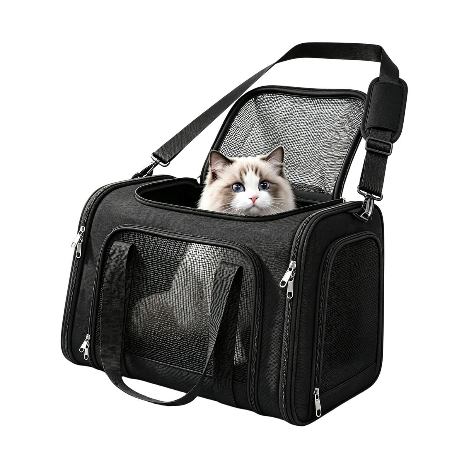 Trasportino morbido per gatti, borsa esterna per animali domestici, con | Trasporto portatile per cani, passeggiate, viaggi su strada, campeggio, escursioni e spostamenti quotidiani