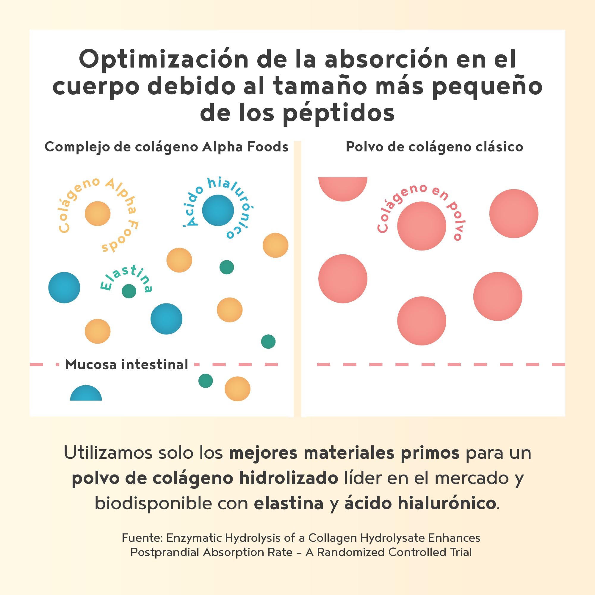 Colágeno en Polvo 2x 400g | Péptidos de Colageno Hidrolizado con Acido Hialuronico y Elastina Marino | Collagen Peptides Tipos I, II, III | Sin Sabor | Alpha Foods