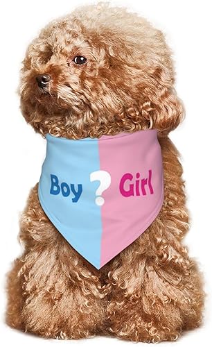 Miniatura 7 de Qué será Anuncio de embarazo, bufanda triangular para mascotas, revelación de género, accesorios de fotografía de baby shower (rosa)