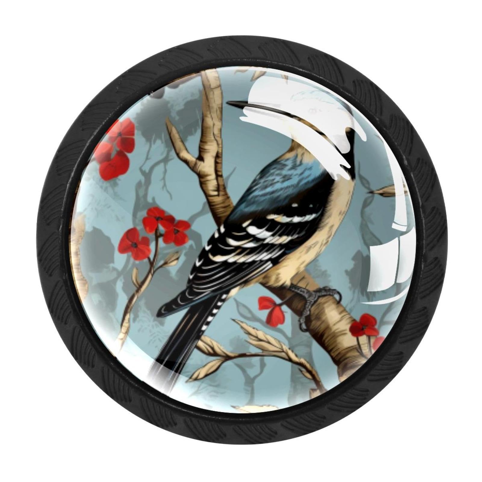 CHENZZZZ 4 Pack Black Woodpecker Drawer Knobs, Cabinet Knobs Round Glass Knobs for Kitchen Cabinet Hardware Bathroom 35MM