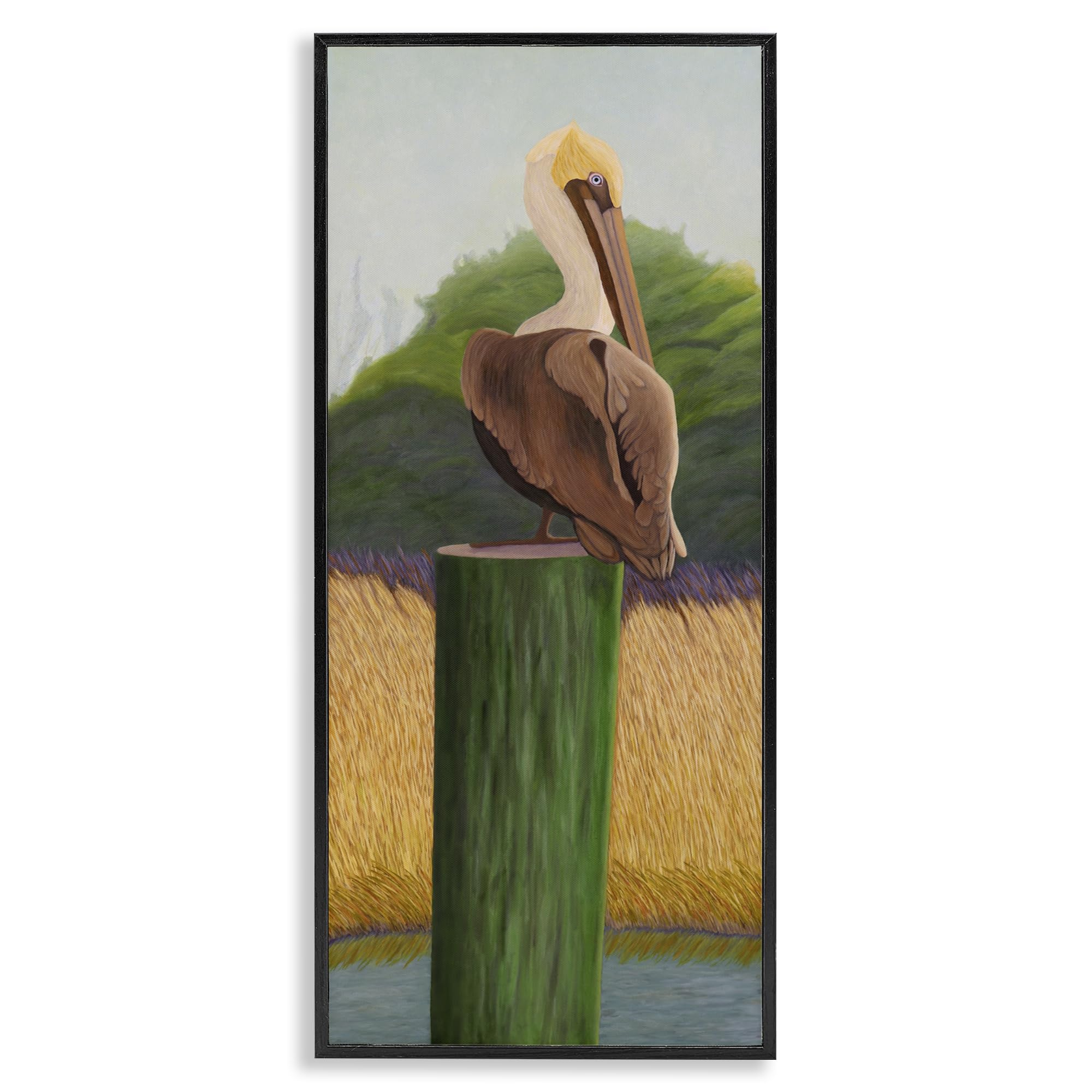 Stupell Industries 'Pelican with Blue Eyes', Framed Giclee Art, Black, 13 x 30 Inches, Easy to Hang and Sturdy, Made in USA, by Barbara Fallenbaum