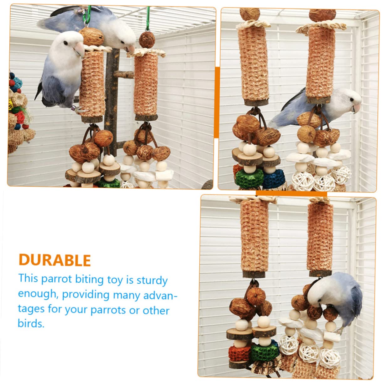 BESPORTBLE 4pièces Jouet à Mâcher Suspendu De Seiche pour Perroquets Et Perruches Accessoire Ludique pour Cage à Oiseaux pour Enrichissement Divertissement des Oiseaux
