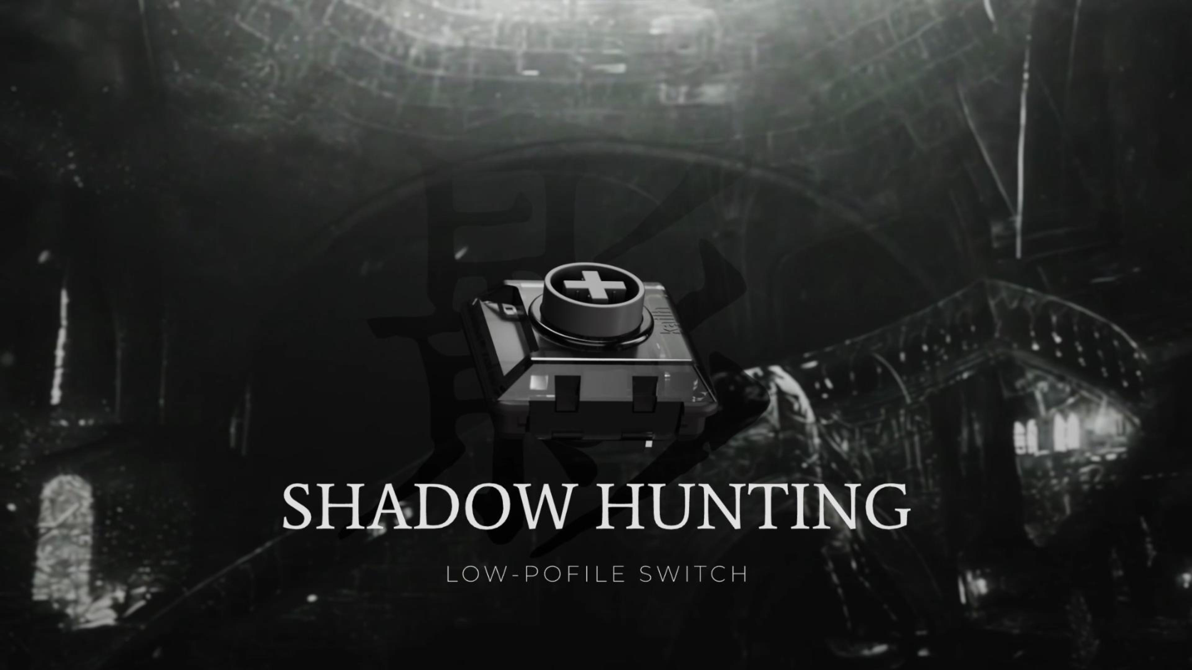 Amazon.com: Shadow Hunting Switch Customized Low Profile Switches