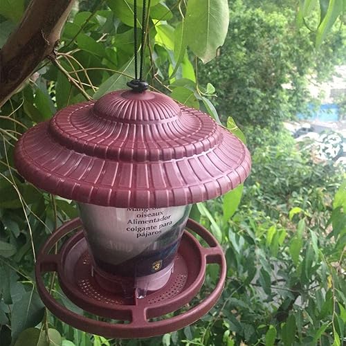 Miniatura 6 de Wild Bird Feeder Outdoor Bird Feeder Transparent Hanging Hummingbird Feeder Bird Supplies Pet Feeding Device Comederos para pájaros