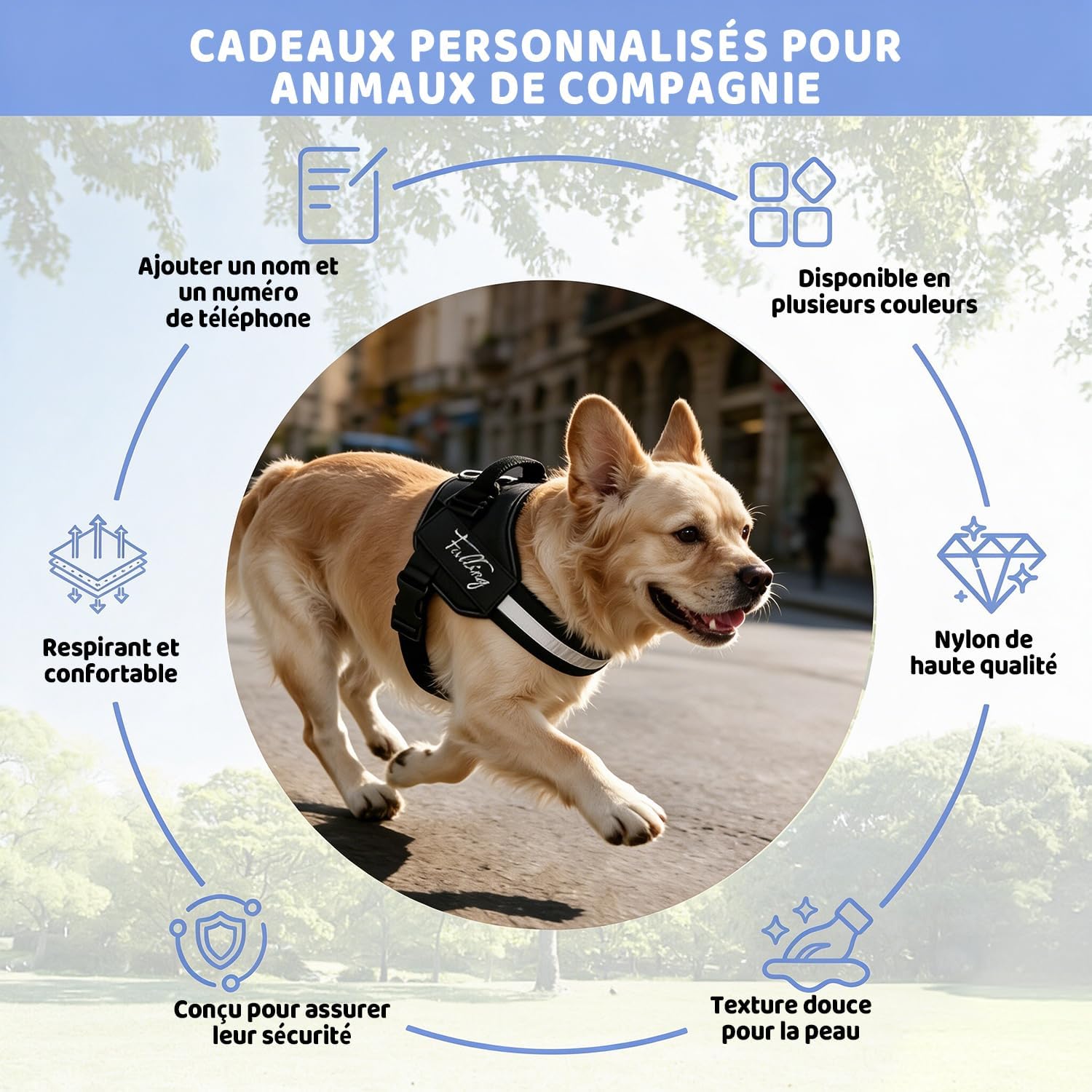 Harnais Anti-Traction Personnalisable pour Chien avec nom et numéro – Gilet Robuste et réf - Mise en situation et utilisation