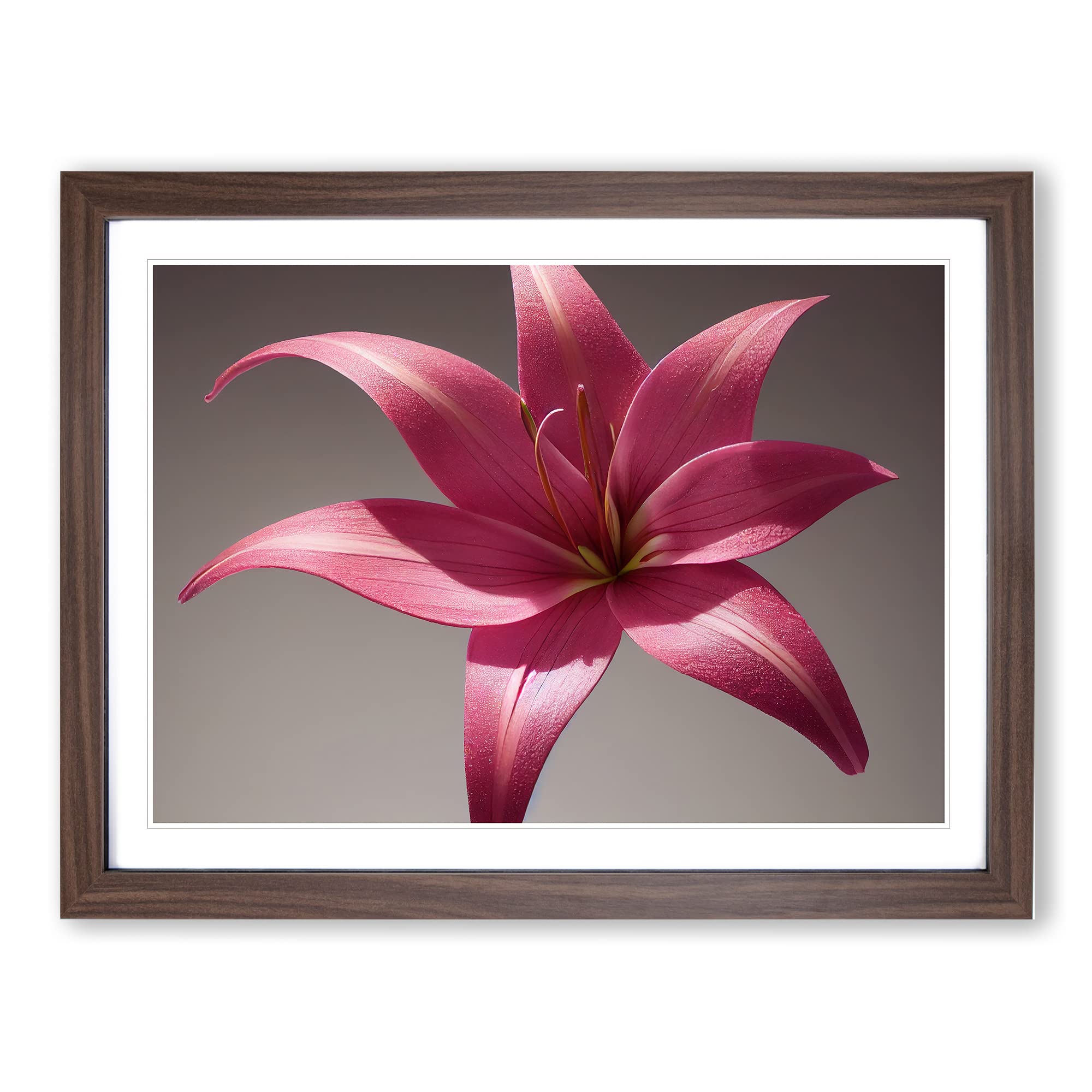 Serene Lily Flower BLK Framed Print, Walnut, A3 (46 x 34 cm)