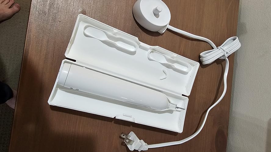 Quality Stripped-down (i.e Featureless) Electric Toothbrush
