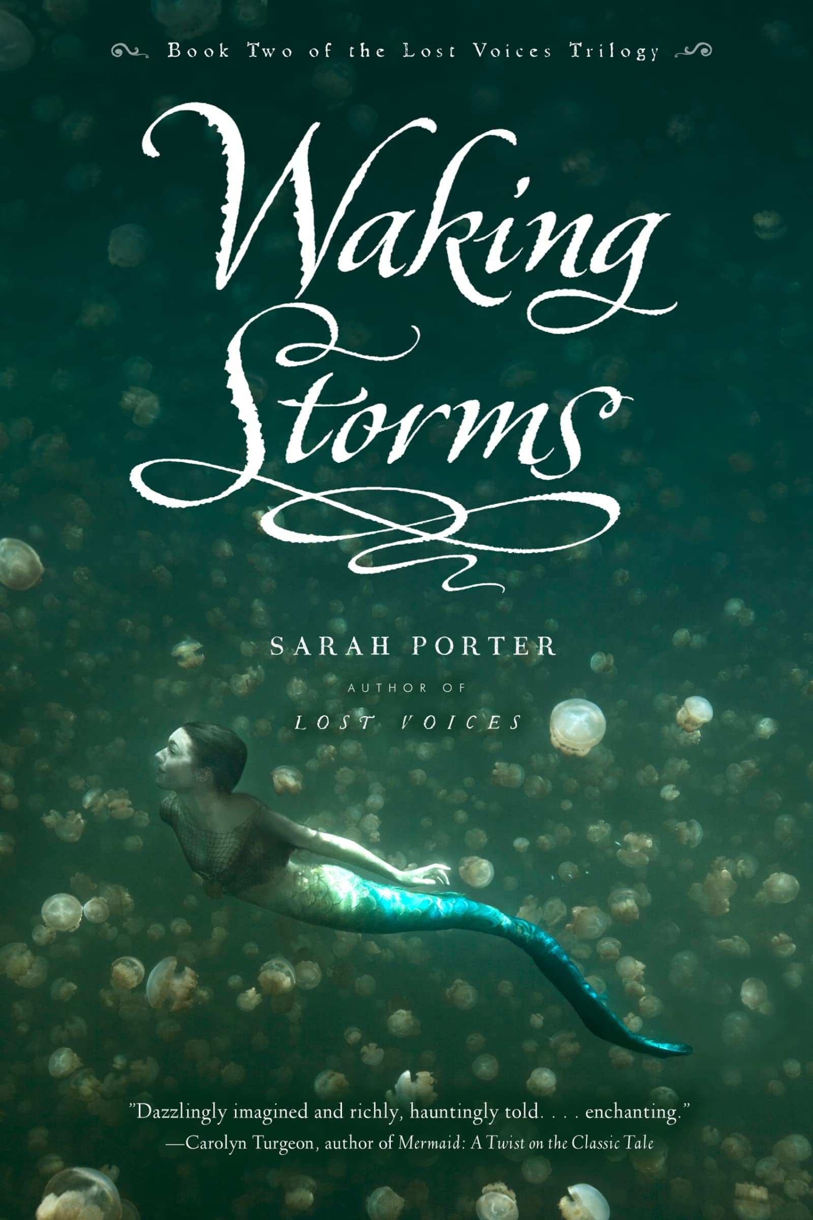 Waking Storms (The Lost Voices Trilogy, 2)