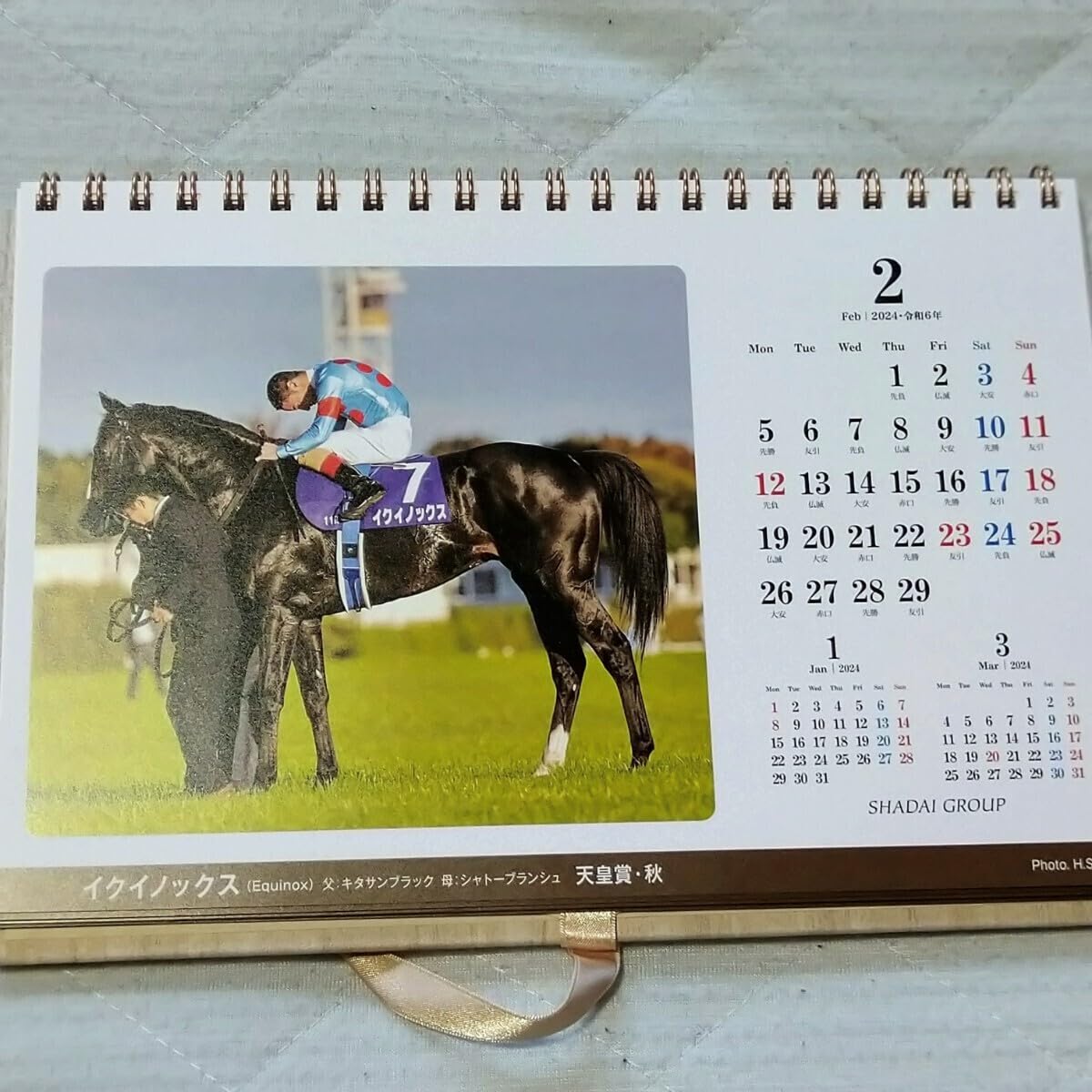 スタリオンブック　コントレイル　たてがみ　競馬　価格交渉可 スタリオンブック コントレイル たてがみ 競馬 価格交渉可 Yahoo