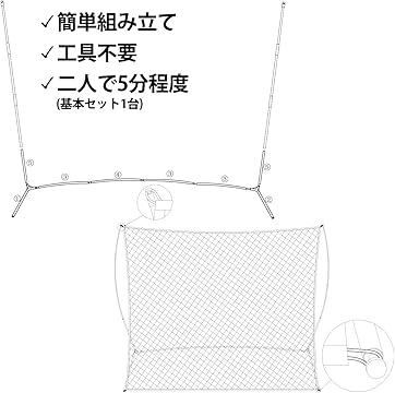 Amazon.co.jp: Fungoal