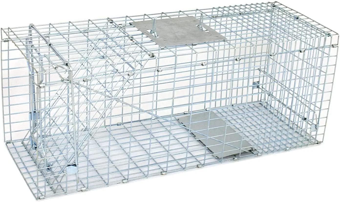 32 Inch Humane Live Animal Cage Trap Steel Catch Release