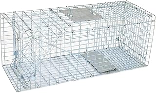 32 Inch Humane Live Animal Cage Trap Steel Catch Release Rodent Cage for Rabbits, Groundhog, Stray Cat, Squirrel, Raccoon, Mole, Gopher, Chicken, Opossum, Skunk, Chipmunks, Silver, (NCD1427)