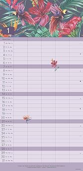 GreenLine Jungle 2024 Familienplaner - Wandkalender - Familien-Kalender - 22x45 Klein