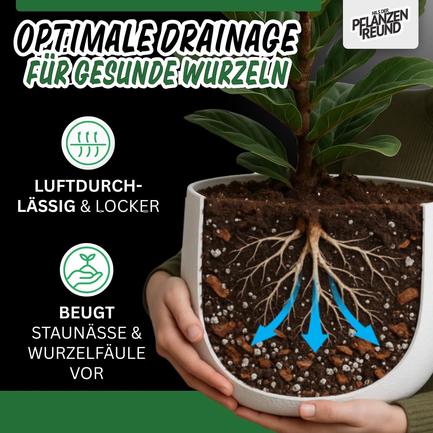 Nils der Pflanzenfreund Monstera Erde (5 L)  Araceae Substrat fr Monstera,  Philodendron & Alocasia, Grnpflanzenerde fr Zimmerpflanzen,  nhrstoffreich fr krftige Wurzeln und gesundes Wachstum : Amazon.de:  Garten