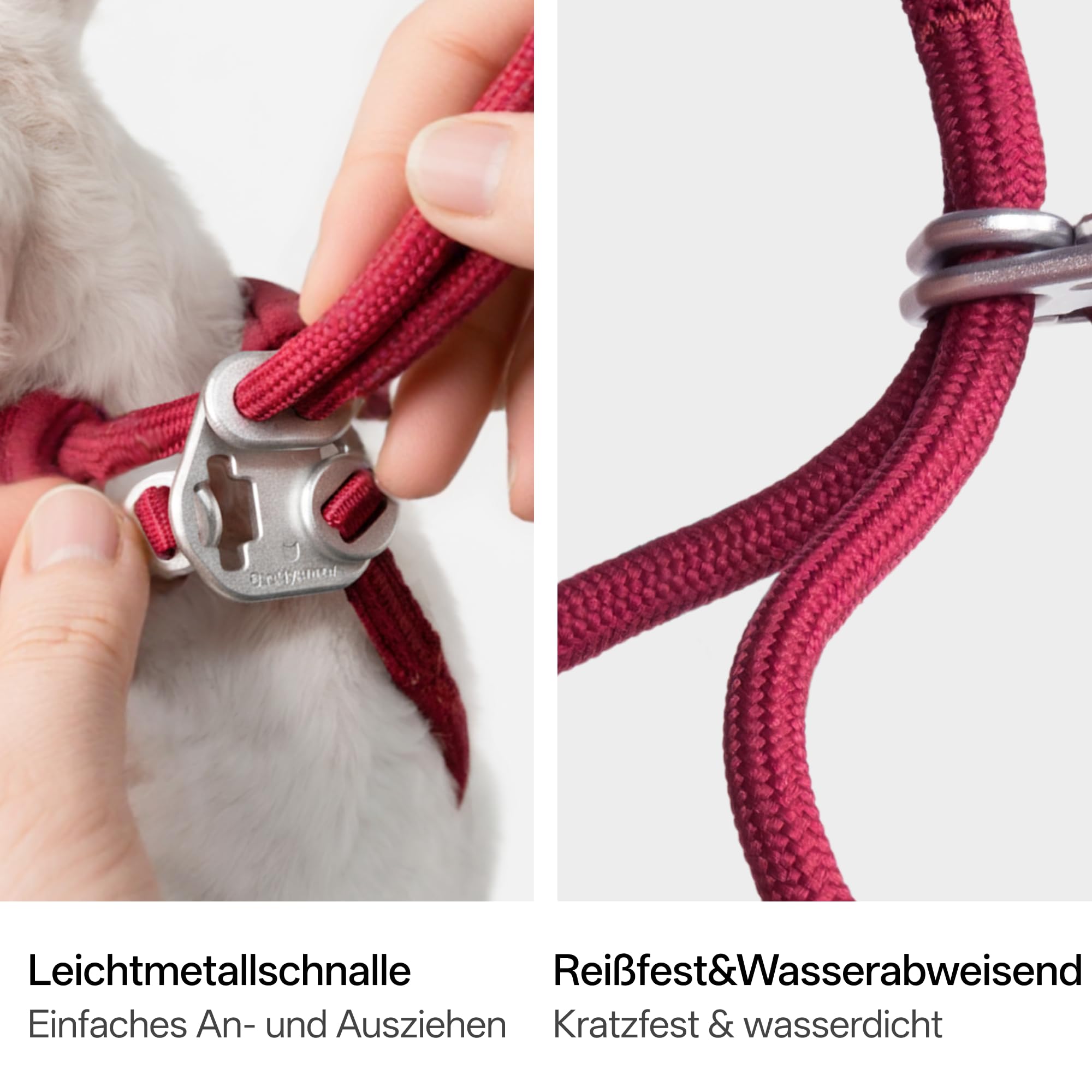 Harnais pour chat anti-évasion en forme de Y avec laisse, réglable, anti-étouffement, rembourré, harnais et poignées libres pour chat jusqu'à 12 kg (noir, L)