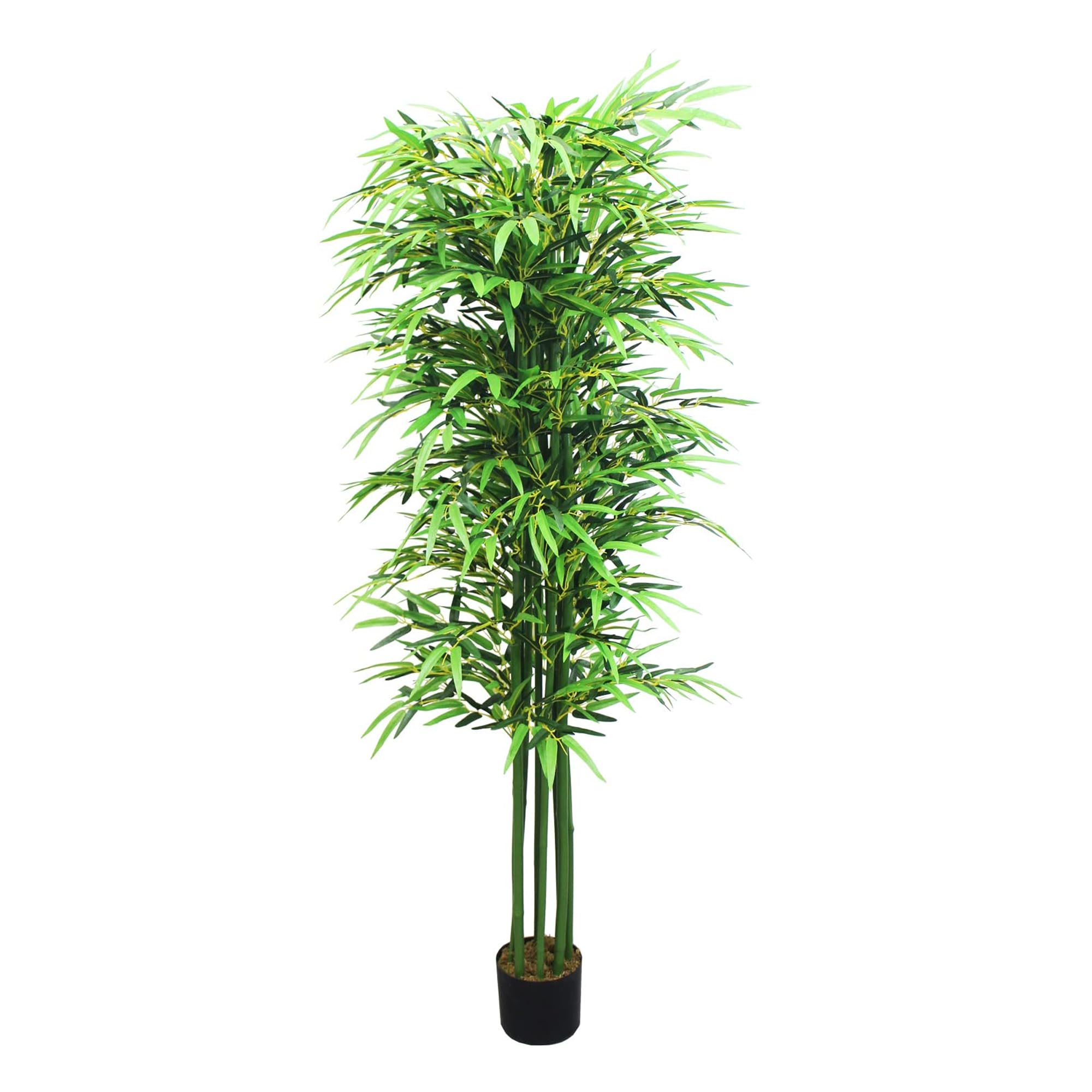 monstera thai constellation xxl Thai Monstera Constellation | Including Care Guide main image 1