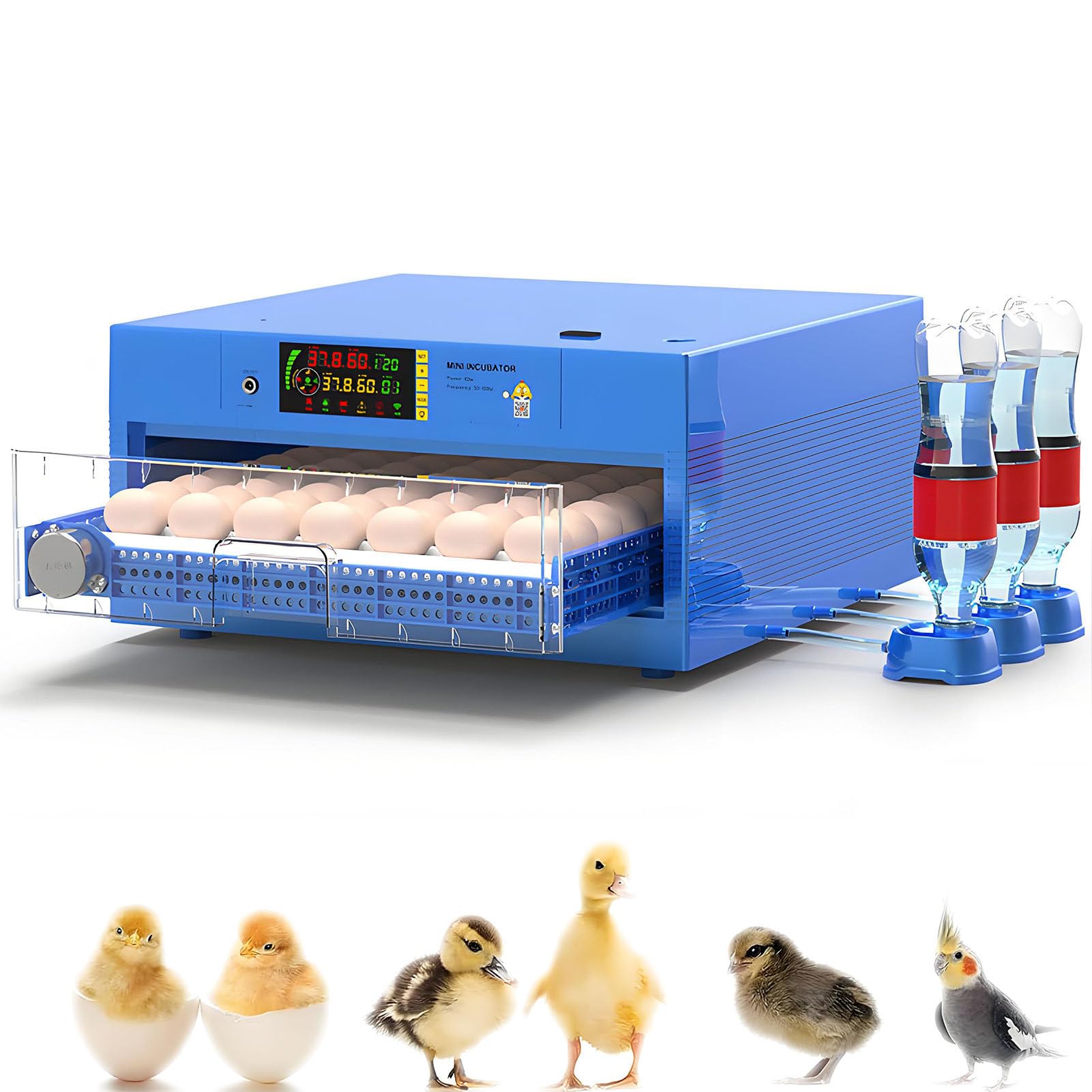 SHENGSHIYU Chicken Incubators for Hatching Eggs,Automatic Humidity Incubator with Auto Egg Turner,Pull-Out Transparent Egg Tray,Adjustable Spacing Roller,Automatic Egg Turning 1Layer