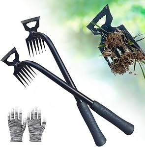 Patio, Lawn & Garden