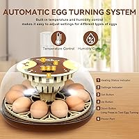 Vista 2 de Nest I - Incubadora de 12 huevos para principiantes, giro automático de huevos, humedad constante con botella de agua de recarga automática