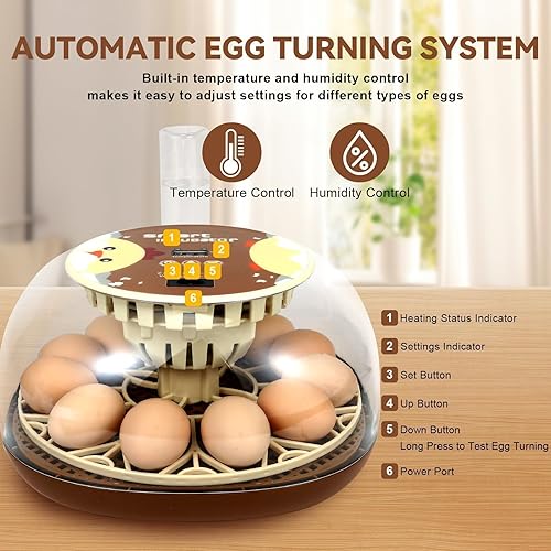 Miniatura 2 de Nest I - Incubadora de 12 huevos para principiantes, giro automático de huevos, humedad constante con botella de agua de recarga automática