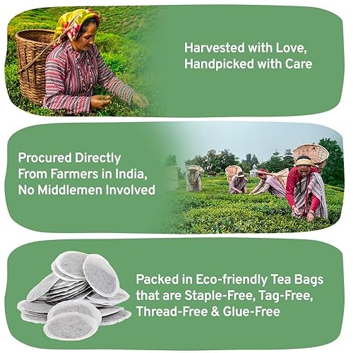 Vista 200 de HANDPICK, Bolsas de té negro orgánico English Breakfast (100 unidades) USDA Orgánico, sin OMG Té negro fuerte, robusto y alto en cafeína Bolsas